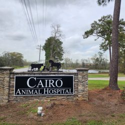 Cairo Animal Hospital - Cairo Animal Hospital
