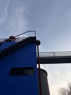 Museo Casa Estudio Diego Rivera y Frida Kahlo by null