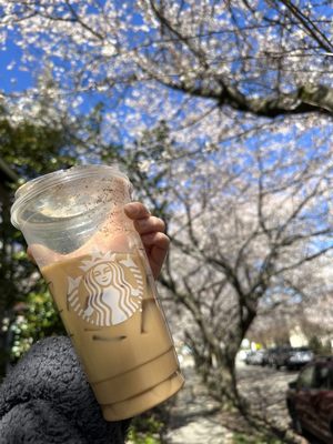 Starbucks by null