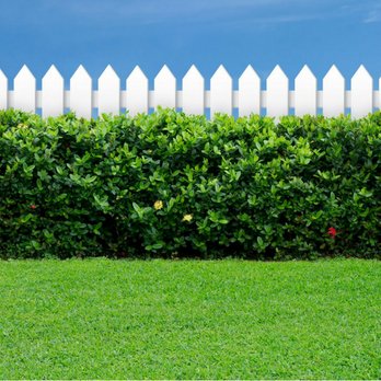 Lawn Jox - a white picketed fence and green grass - Landscaping Near Me - Olive Branch, Mississippi
