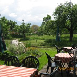 Restaurant - Alpenhof - Wilde Wiesen mit Vogelhäuschen im Baum