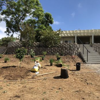Janikowski Construction - Valencia orange, agapanthus, roses, creeping fig, and Crape Myrtle. - Masonry/Concrete Near Me Janikowski Construction - Valencia orange, agapanthus, roses, creeping fig, and Crape Myrtle. - Masonry/Concrete Near Me