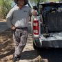 Photo of Green Machine Pest Control