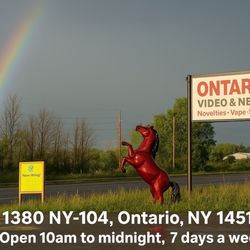 Ontario Video & News
