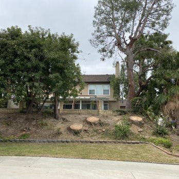 Environmental Green Tree Care - All of the requested trees taken down. - Tree Services Near Me Environmental Green Tree Care - All of the requested trees taken down. - Tree Services Near Me