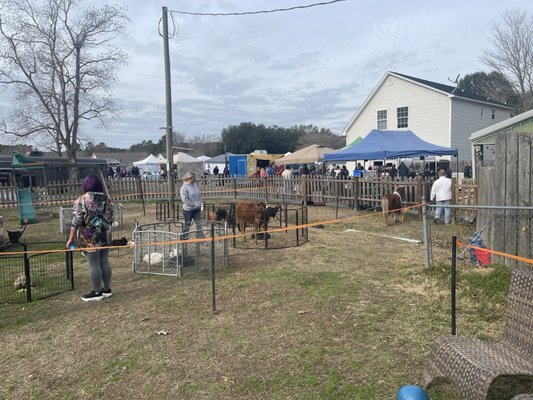 Lowcountry Public House by null