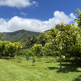 21 Degrees Estate - So pretty! - Tours Near Me - Kaneohe, Hawaii