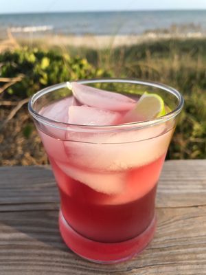 East Coast Kombucha Company, LLC by null