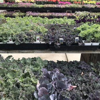 SummerWinds Nursery - Campbell - Nurseries & Gardening Near Me - Campbell, California SummerWinds Nursery - Campbell - Nurseries & Gardening Near Me - Campbell, California