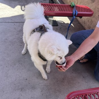 Bruster's Real Ice Cream - Ice Cream & Frozen Yogurt Near Me - Torrance, California Bruster's Real Ice Cream - Ice Cream & Frozen Yogurt Near Me - Torrance, California