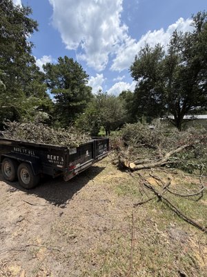 Brassette Tree & Debris on Yelp