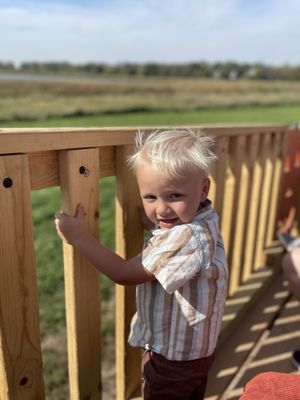 Dehns Pumpkins by null