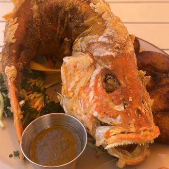 Carnaval Miami - Fish - Festivals Near Me - Miami, Florida Carnaval Miami - Fish - Festivals Near Me - Miami, Florida