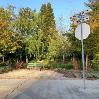 Riche Park - Dog Parks Near Me - Castro Valley, California Riche Park - Dog Parks Near Me - Castro Valley, California