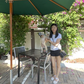 Urth Caffé-Pasadena - Patio - Cafes Near Me - Pasadena, California Urth Caffé-Pasadena - Patio - Cafes Near Me - Pasadena, California