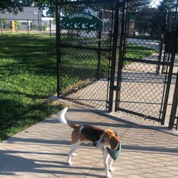Dog park