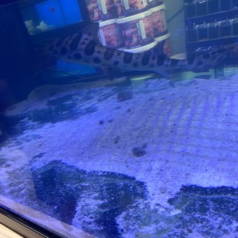 Ocean Aquatics - Local Fish Stores Near Me - Redlands, California Ocean Aquatics - Local Fish Stores Near Me - Redlands, California