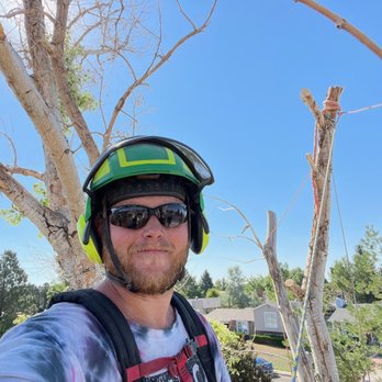 Magrum Tree Service - Tree Services Near Me - Cheyenne, Wyoming Magrum Tree Service - Tree Services Near Me - Cheyenne, Wyoming