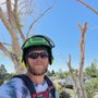 Photo of Magrum Tree Service