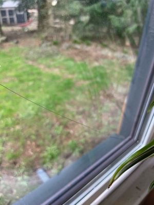 Clear Choice Windows & Doors