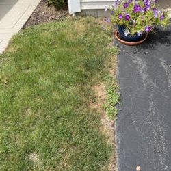 McKinney Landscaping - what do you think?
