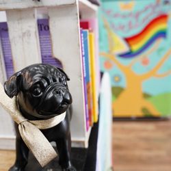 Underdog Bookstore