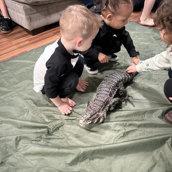 Kids Reptile Parties - Party & Event Planning Near Me Kids Reptile Parties - Party & Event Planning Near Me