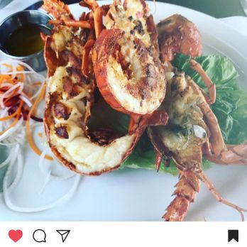 Splash Baja - Lobster - Mexican Near Me - Primo Tapia, BCN
