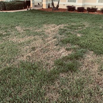 Madewell Repair - Before - Irrigation Near Me