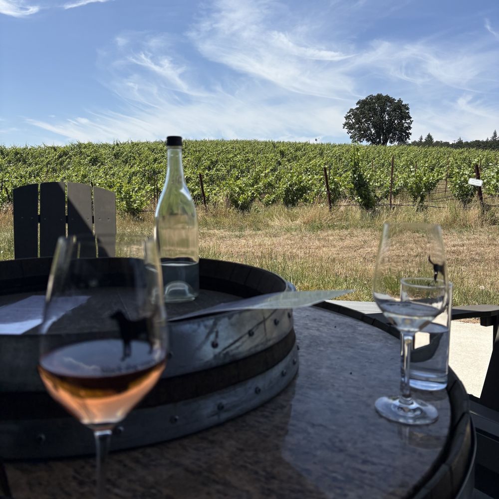 Black Dog Vineyard - Vineyard view from the patio. - Wine Tasting Room Near Me - Carlton, Oregon Black Dog Vineyard - Vineyard view from the patio. - Wine Tasting Room Near Me - Carlton, Oregon