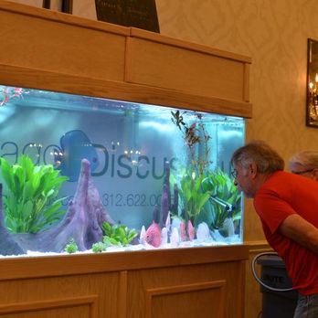Chicago Discus - Chicago Discus at the 2014 NADA Show in Austin - Local Fish Stores Near Me - Chicago, Illinois