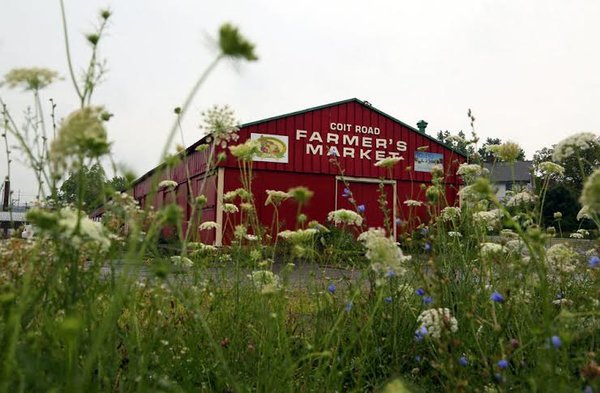 Coit Road Farmers Market by null