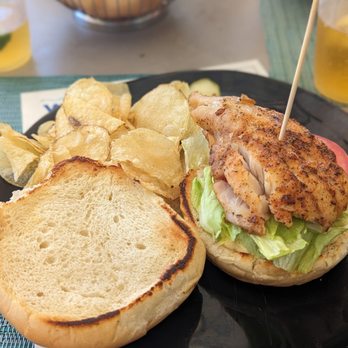 Waves Pool Bar and Grill - Grouper Sandwich - Bars Near Me - Fort Lauderdale, Florida Waves Pool Bar and Grill - Grouper Sandwich - Bars Near Me - Fort Lauderdale, Florida