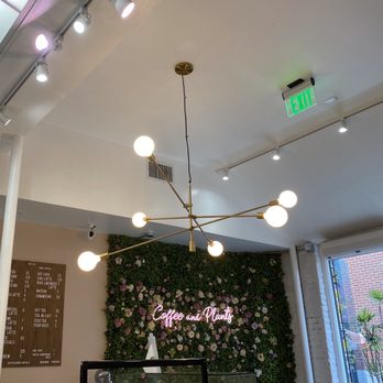 Coffee and Plants - Coffee & Tea Near Me - Pasadena, California