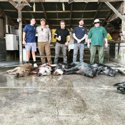Schmidt Guide Service