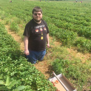 Mandigo Farms - Me, getting down to business to hunt strawberries! - Farms Near Me - Paw Paw, Michigan Mandigo Farms - Me, getting down to business to hunt strawberries! - Farms Near Me - Paw Paw, Michigan