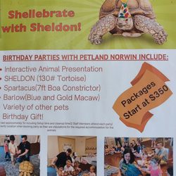 Petland North Huntingdon - I love Sheldon!