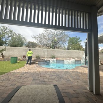 Mr. Tree - Tree Services Near Me - Henderson, Nevada