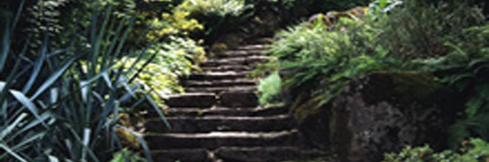 Lifeway Counseling Services - grief counselor in Jackson, MS