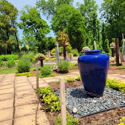 The Botanic Garden - Cactus garden
