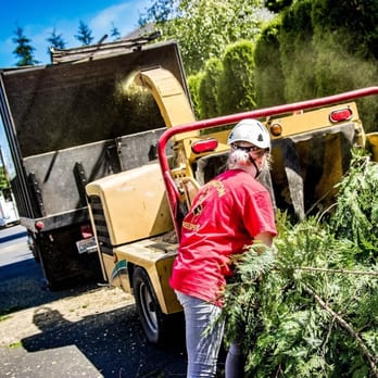 Washington Tree Experts - Tree Services Near Me - Snohomish, Washington Washington Tree Experts - Tree Services Near Me - Snohomish, Washington