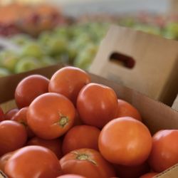 Skinner Produce