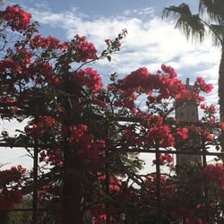 Parque de Los Perdigones