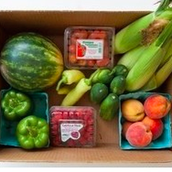Rocco's Fruit & Produce - Rocco's Fruit & Produce Box Share Program