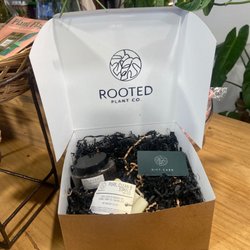 Rooted Plant
