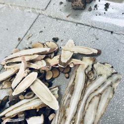 Chung Hsin Herbs