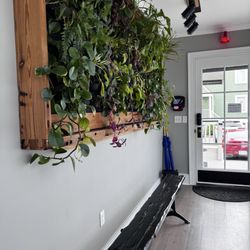 Access Healthcare - Entrance door