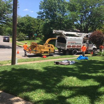 Aspen Tree Service - Tree Services Near Me Aspen Tree Service - Tree Services Near Me
