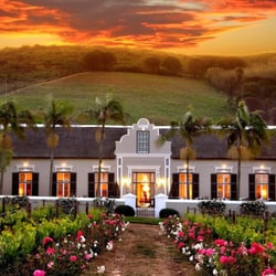 Africa Answers - The South African Winelands have a wine history that goes back to the 1650's .