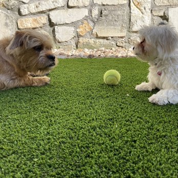 Southern Turf Co. - Artificial Turf Near Me - Austin, Texas Southern Turf Co. - Artificial Turf Near Me - Austin, Texas